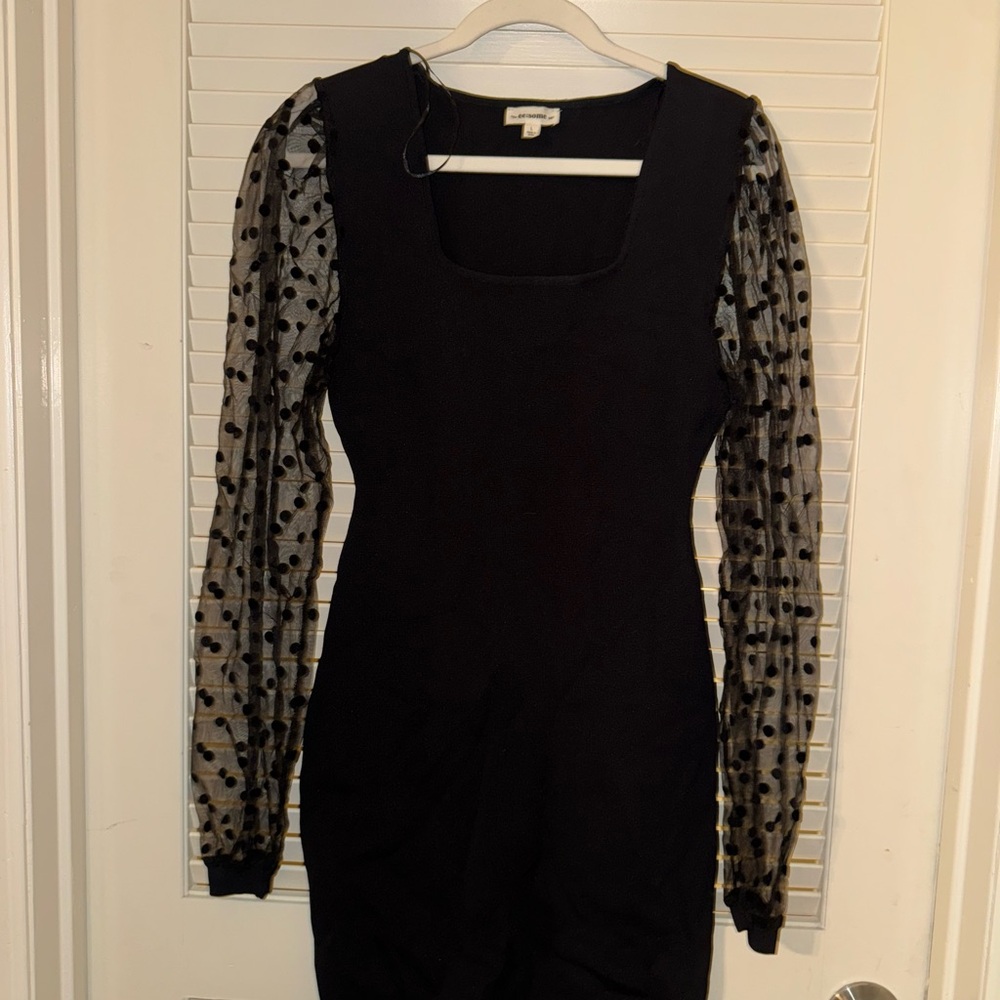 Eesome Black Dress with Sheer Polka Dot Sleeves